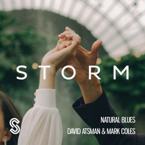 Album Natural Blues oleh David Atsman