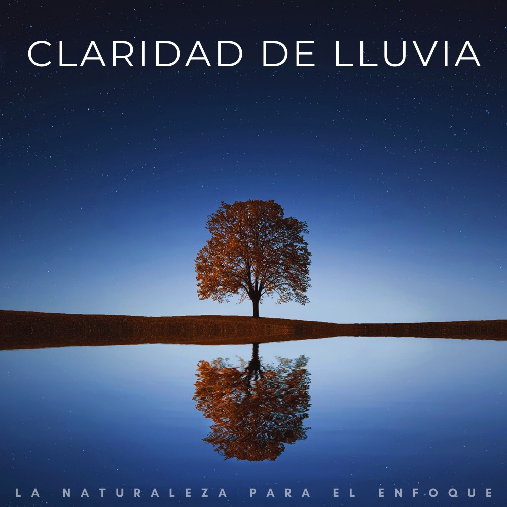 El Enfoque Lluvioso Y La Claridad De La Naturaleza