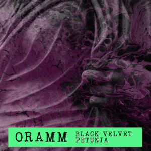 Listen to Black Velvet Petunia song with lyrics from Oramm