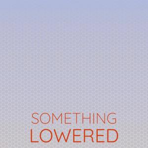 收听DOMZ的Something Lowered歌词歌曲