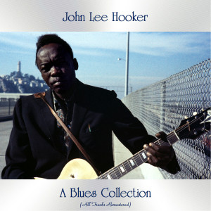 ดาวน์โหลดและฟังเพลง Hobo Blues (Remastered 2016) พร้อมเนื้อเพลงจาก John Lee Hooker