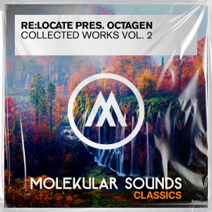 Album Collected Works Vol. 2 from Re:Locate