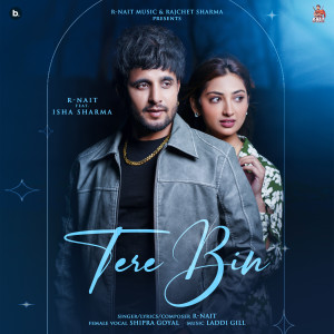 Listen to Tere Bin song with lyrics from R Nait
