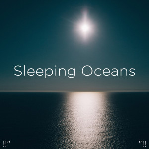 Listen to White Noise Ocean song with lyrics from Ocean Sounds