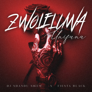 DJ Shandu Skeem的專輯Zwoleluwa Unifuna