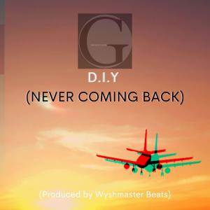 Listen to D.I.Y(Never Coming Back) song with lyrics from Greyfaceraver