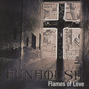 ดาวน์โหลดและฟังเพลง Chosen One พร้อมเนื้อเพลงจาก Funhouse