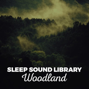 收聽Sleep Sound Library的Wings歌詞歌曲