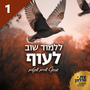 Listen to חופשי ומאושר (Live) song with lyrics from Boaz Sharabi