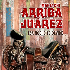 收聽Mariachi Arriba Juárez的Esa Noche Te Olvidé歌詞歌曲