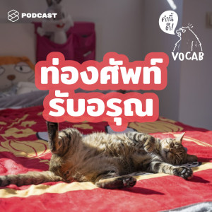 EP.466 ท่องศัพท์รับอรุณ ให้คุณเริ่มเช้าวันใหม่อย่างสดใส กับ 20 คำนี้ #MorningVocab