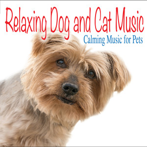 Listen to Dancing Without You song with lyrics from Jay Oliver