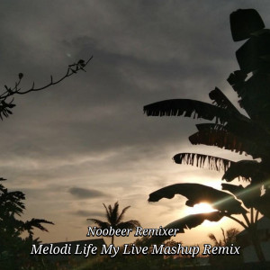 Album Melodi Life My Live Mashup (Remix) oleh Noobeer Remixer