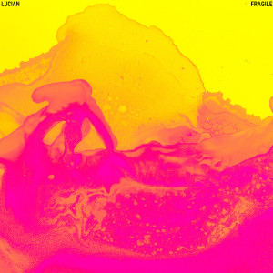 Album Fragile from 