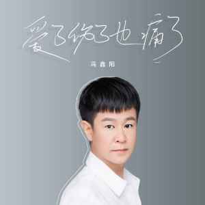 收聽馮鑫陽的愛了傷了也痛了 (DJ彭銳版)歌詞歌曲