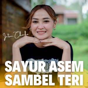 Listen to SAYUR ASEM SAMBEL TERI song with lyrics from Intan Chacha