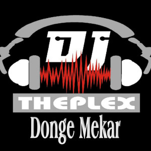 Listen to Donge Mekar song with lyrics from DJ Theplex