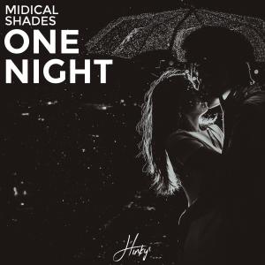 Listen to One Night (feat. Shades) song with lyrics from MIDIcal