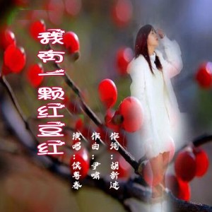 Listen to 我有一颗红豆红 (伴奏) song with lyrics from 炫音飞歌