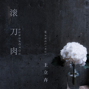 收聽王立卉的滾刀肉歌詞歌曲