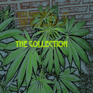 อัลบัม Weeds The Collection ศิลปิน Various Artists