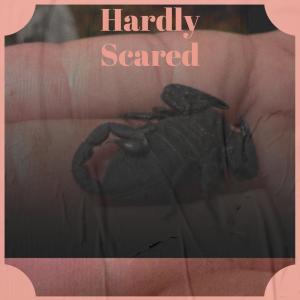Various的专辑Hardly Scared