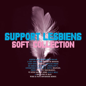 收聽Support Lesbiens的Please Look At Me歌詞歌曲