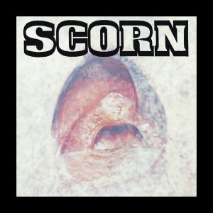 ดาวน์โหลดและฟังเพลง Hit พร้อมเนื้อเพลงจาก Scorn
