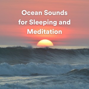 Album Ocean Sounds for Sleeping and Meditation oleh Sea Waves Sounds