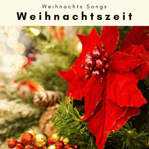 Weihnachts Songs的專輯3 2 1 Weihnachtszeit Vol. 1