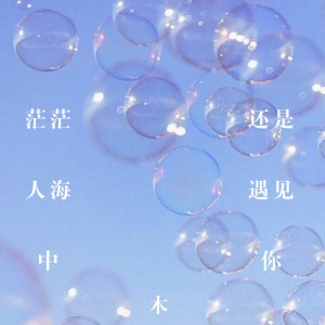 收聽木的茫茫人海中還是遇見你 (伴奏)歌詞歌曲