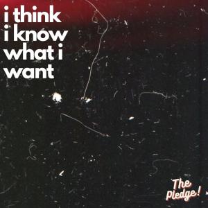 收聽The Pledge的i think i know what i want歌詞歌曲