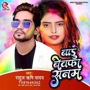 Listen to Badu Bewafa Sanam song with lyrics from Rahul Rishi Yadav