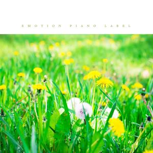 Listen to Stillness song with lyrics from Inoue Yuichi