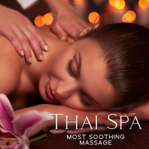 Listen to Zen Style song with lyrics from Pure Massage Music Consort