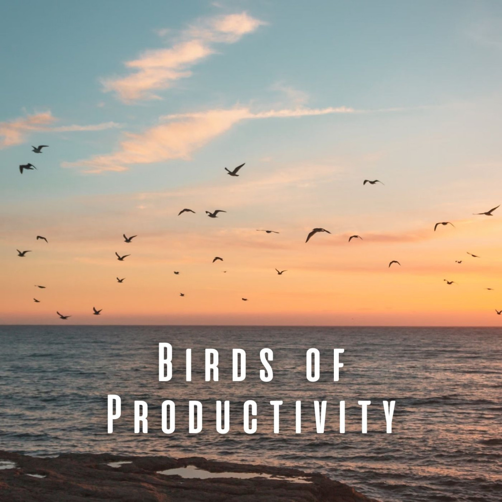Tranquil Work Beats