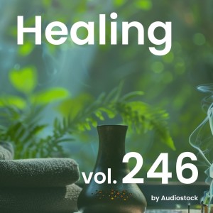 日本羣星的專輯Healing, Vol. 246 -Instrumental BGM- by Audiostock