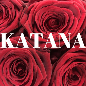 ดาวน์โหลดและฟังเพลง Katana พร้อมเนื้อเพลงจาก INFIDELIX