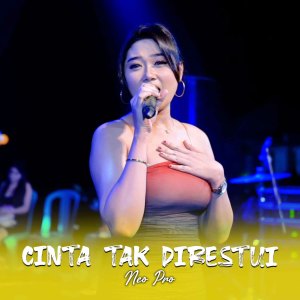 Listen to Cinta Tak Direstui song with lyrics from Neo Pro