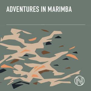 อัลบัม Adventures in Marimba ศิลปิน George King