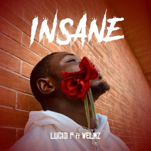 ดาวน์โหลดและฟังเพลง Insane พร้อมเนื้อเพลงจาก LUCID P