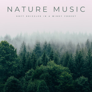 Echoes of Nature的專輯Nature Music: Soft Drizzles In A Windy Forest