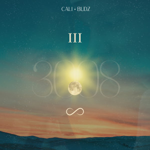 收聽Cali Budz的3008歌詞歌曲