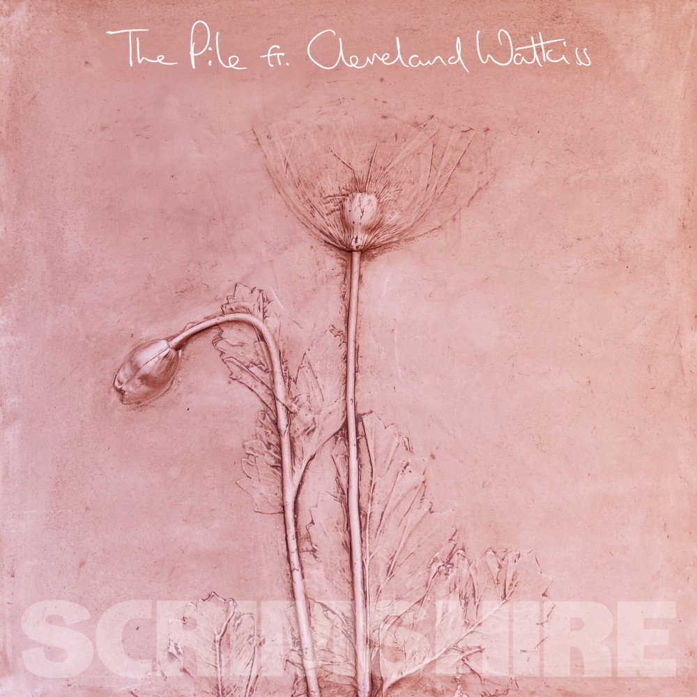 The Pile (Radio Edit)