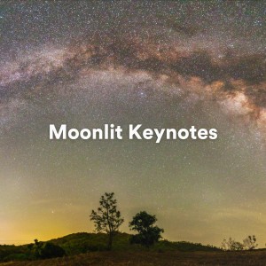 Album Moonlit Keynotes (Piano Rain for Sleep) from 