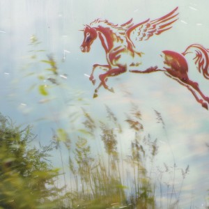 Matt Pond PA的專輯Those Wings (ft. Jonathan Russell of The Head and the Heart)