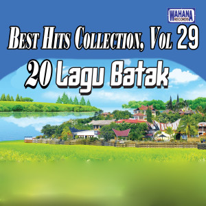 Various Artists的專輯Best Hits Collection, Vol. 29