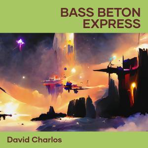 David Charlos的專輯Bass Beton Express (Remastered 2023)