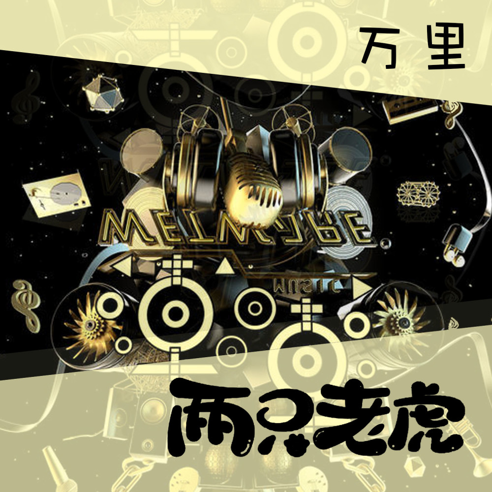 硬核摇摆 (DJ版)