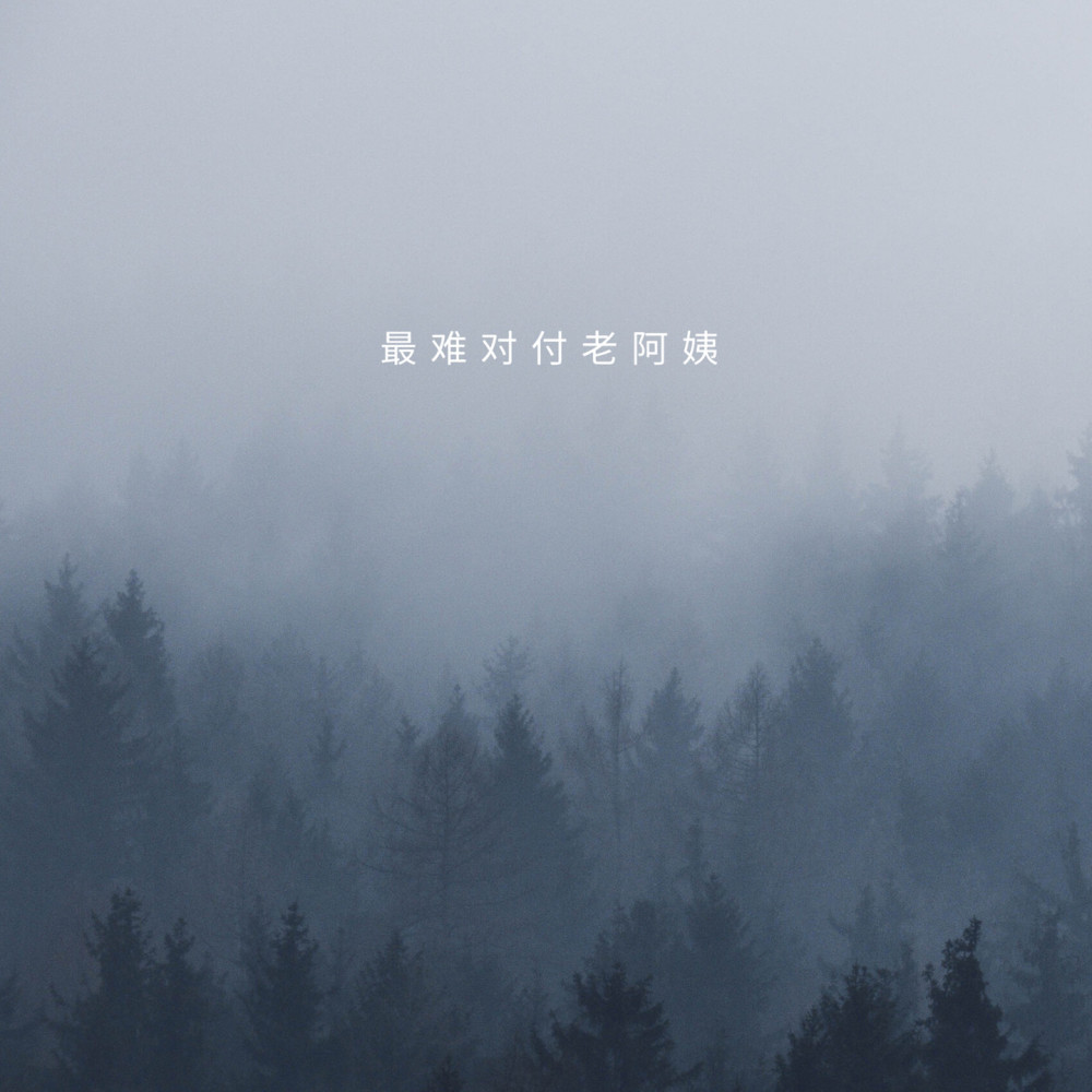 最难对付老阿姨